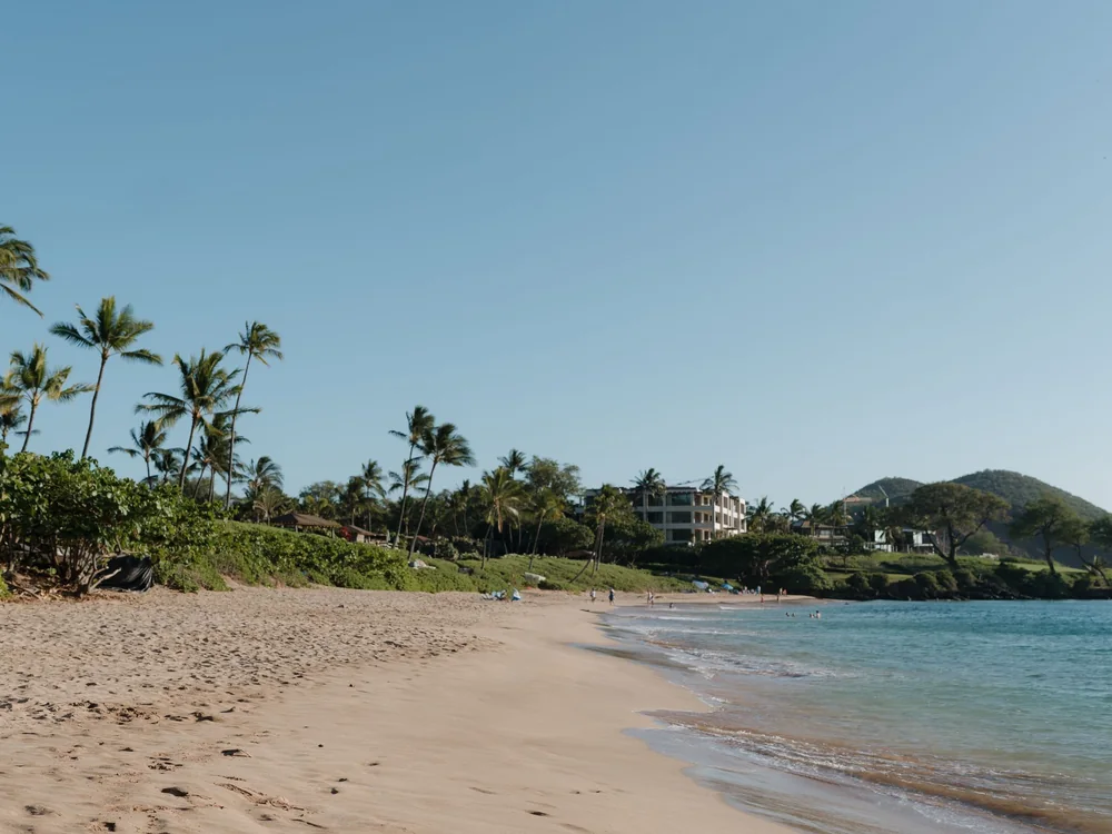 A sandy Kihei beach with palm trees, low green hills and calm turquoise water under a clear sky