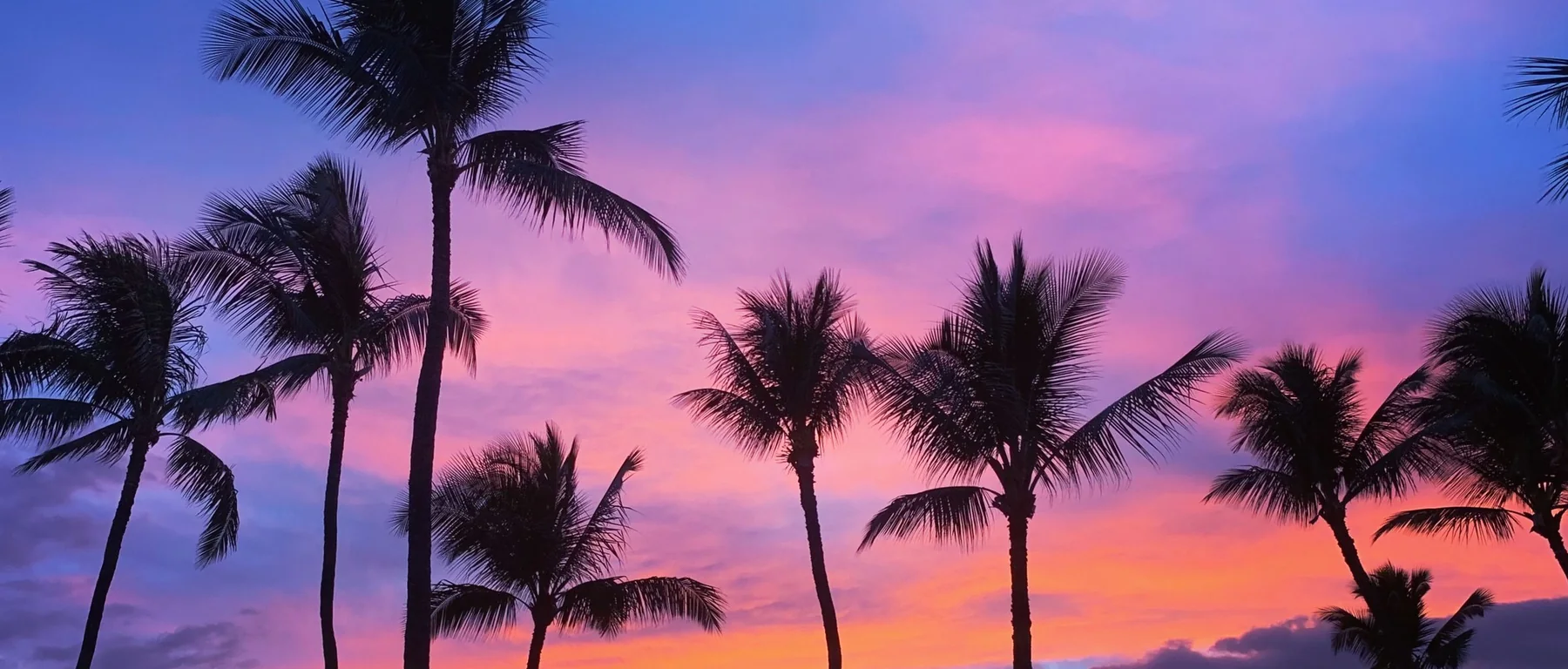 Tall palm trees silhouetted against a pink and orange sunset sky over South Maui